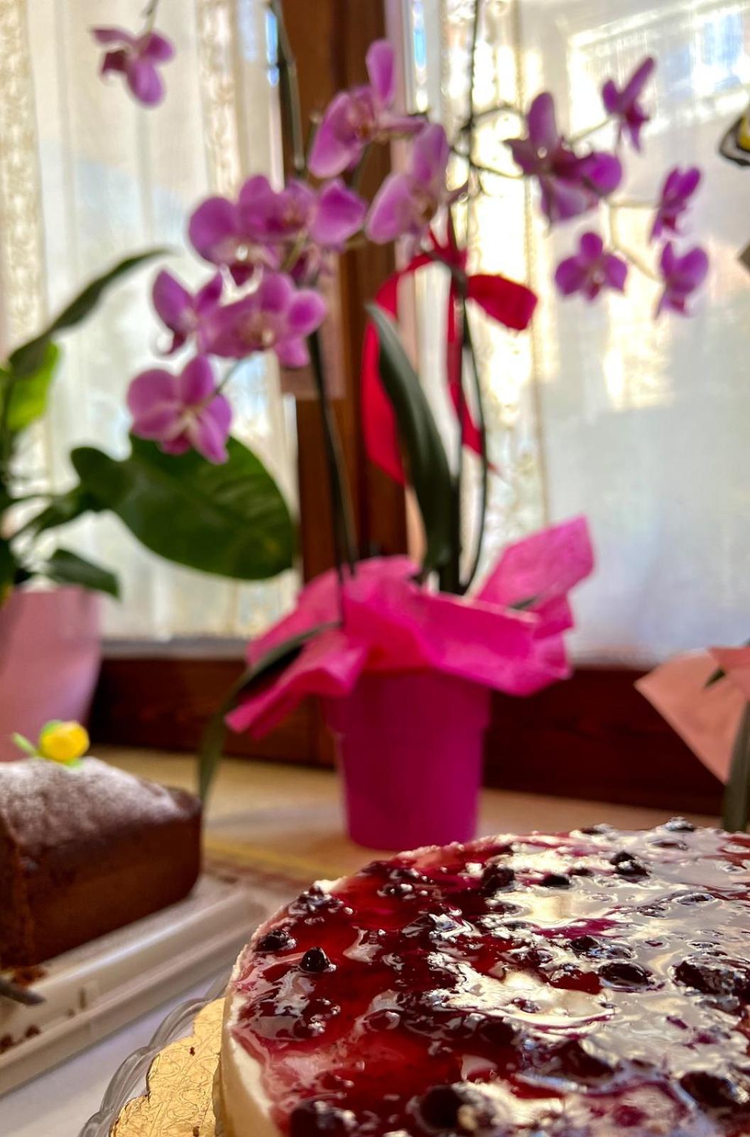 アジェーロラ Il Ritrovo Delle Volpi Bed & Breakfast エクステリア 写真